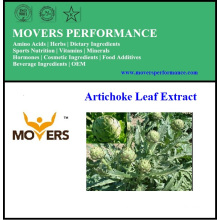 High Quality Artichoke Leaf Extract